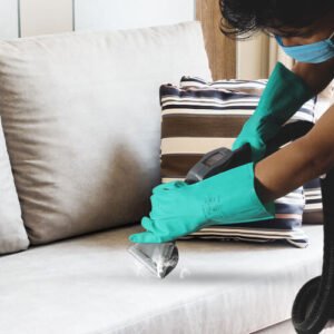 sofa cleaning