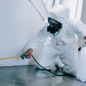 Pest Control/Fogging Sanitizing